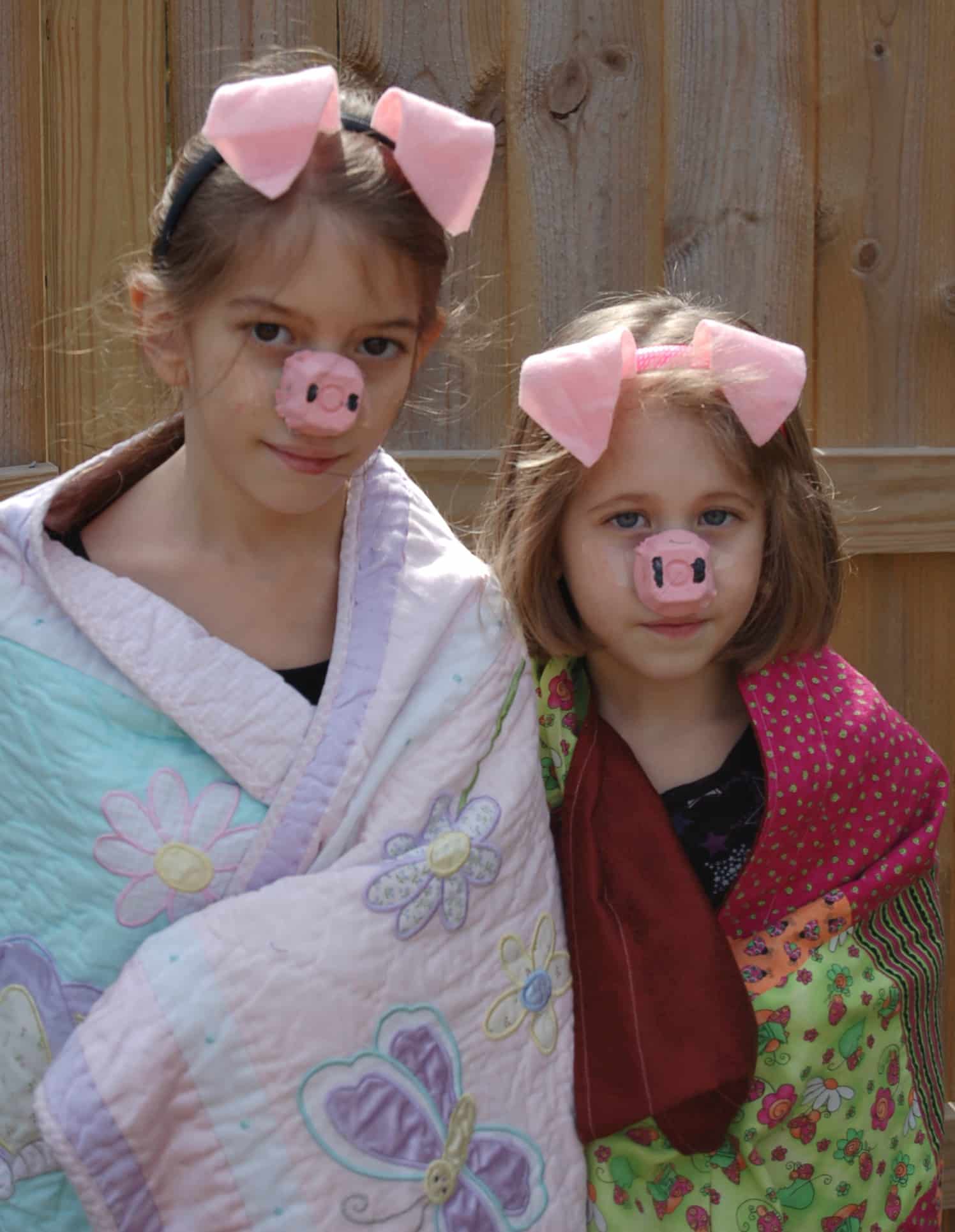 pig in a blanket costume
